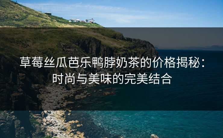 草莓丝瓜芭乐鸭脖奶茶的价格揭秘：时尚与美味的完美结合